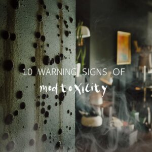 10 Warning Signs of Mold Toxicity