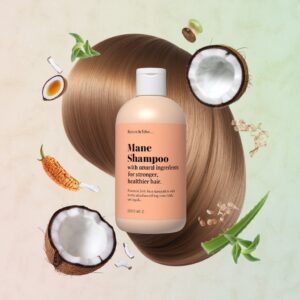 mane shampoo